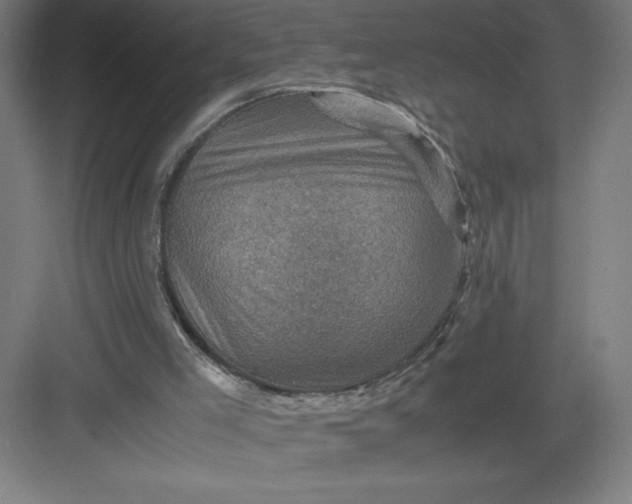 X0000082990005200702160035