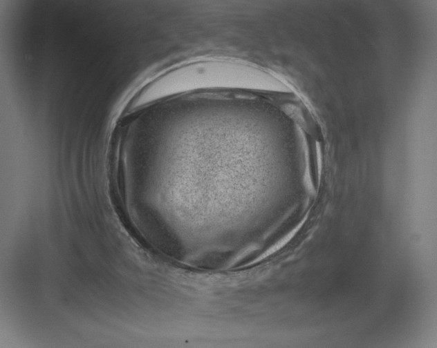 X0000082990007200702160035