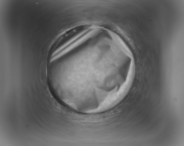 X0000082990011200702160035