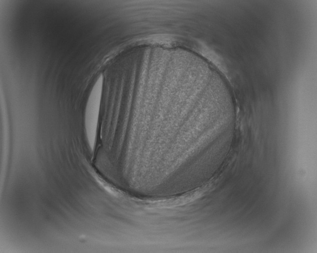 X0000082990013200702160035