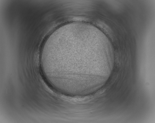 X0000082990016200702160035