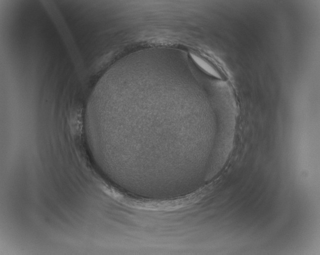 X0000082990017200702160035