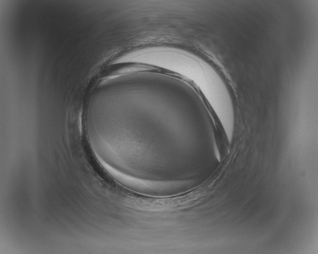 X0000082990019200702160035