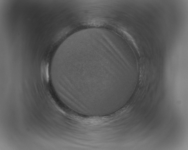 X0000082990020200702160035