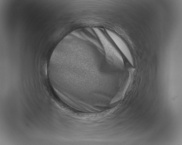 X0000082990021200702160035