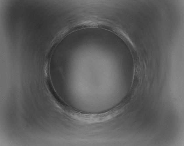 X0000082990023200702160035