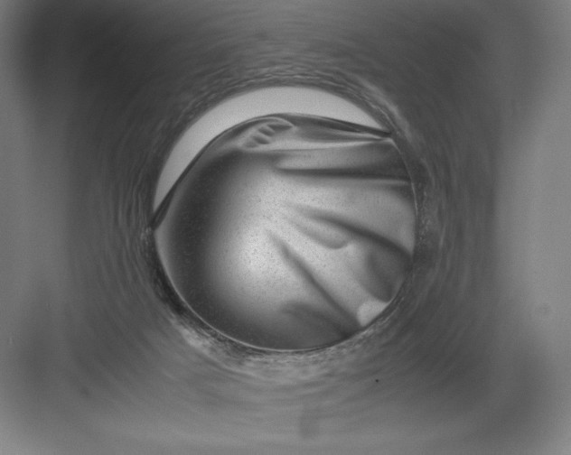 X0000082990025200702160035