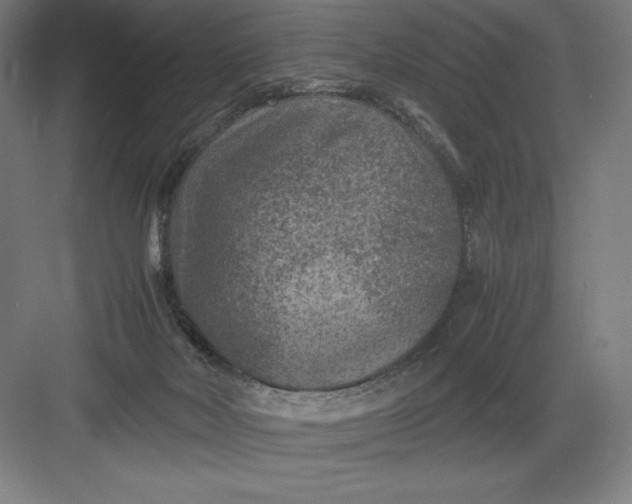 X0000082990026200702160035