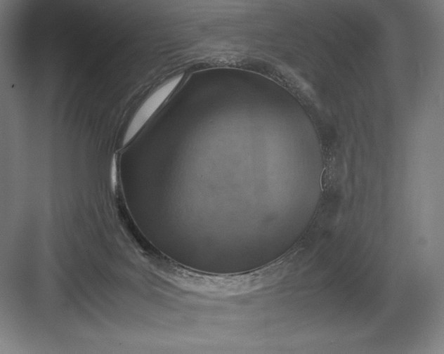 X0000082990027200702160035