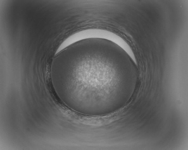 X0000082990029200702160035