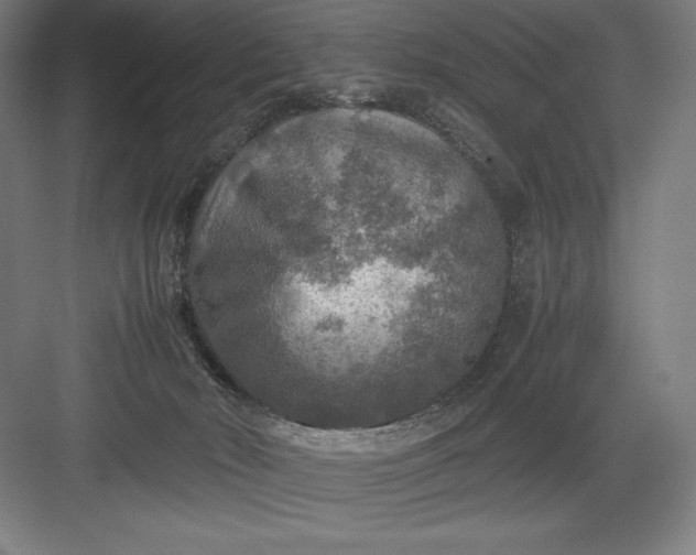 X0000082990030200702160035