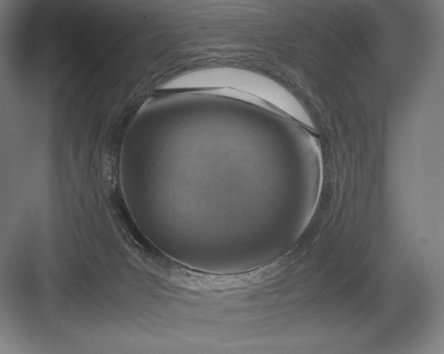 X0000082990031200702160035