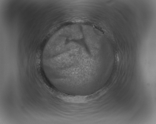 X0000082990032200702160035