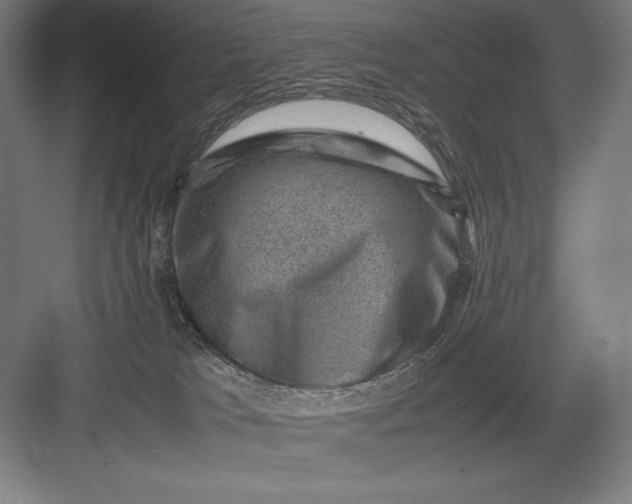 X0000082990037200702160035