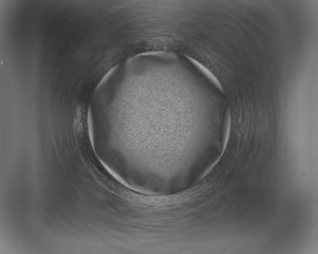 X0000082990038200702160035