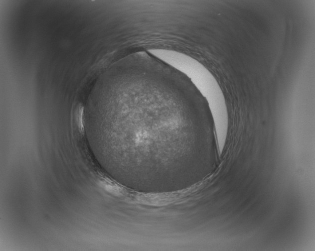 X0000082990041200702160035