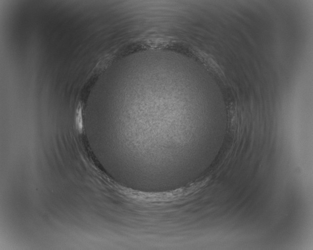 X0000082990042200702160035