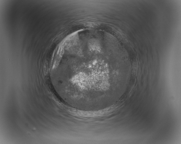 X0000082990043200702160035