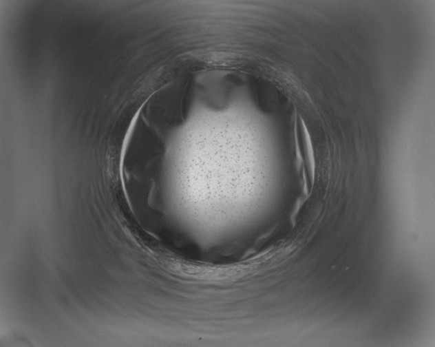 X0000082990044200702160035