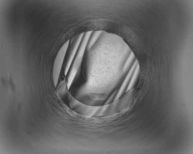 X0000082990045200702160035