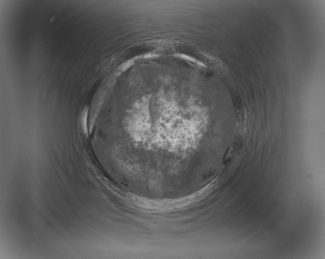 X0000082990047200702160035