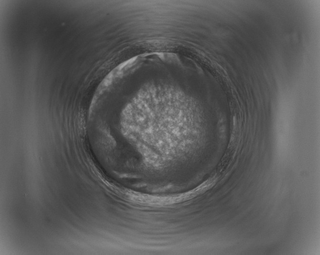 X0000082990048200702160035