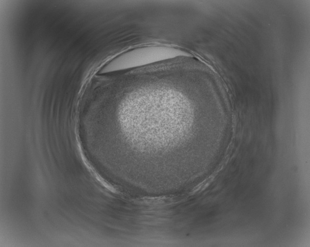 X0000082990049200702160034