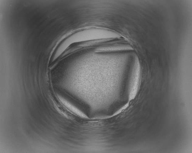 X0000082990050200702160034