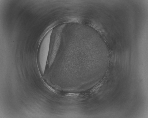 X0000082990051200702160034