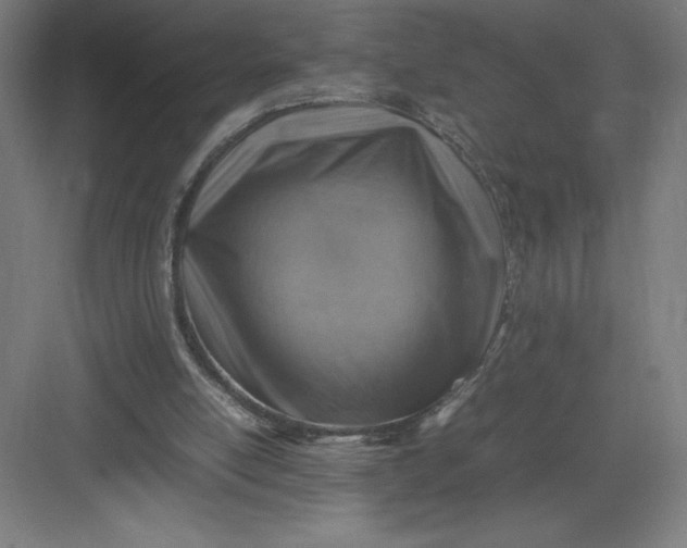 X0000082990054200702160034