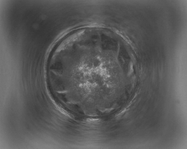 X0000082990055200702160034