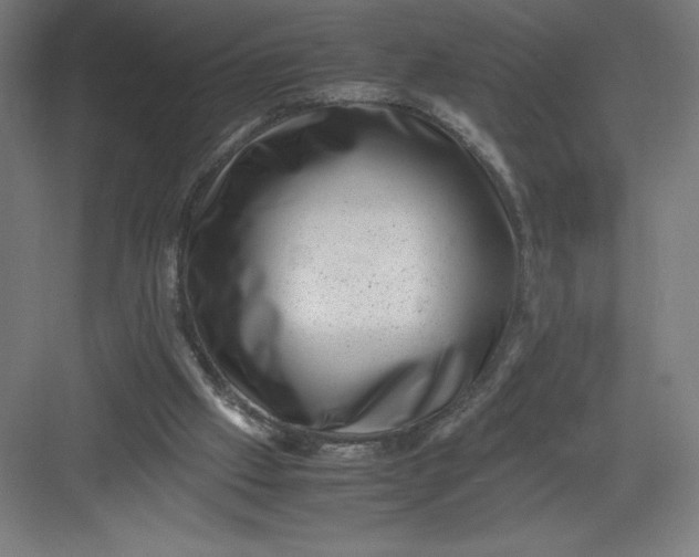 X0000082990057200702160034