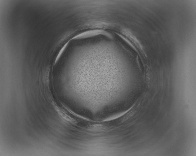 X0000082990058200702160034