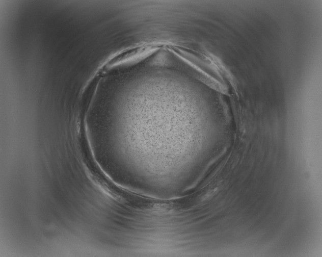 X0000082990060200702160034