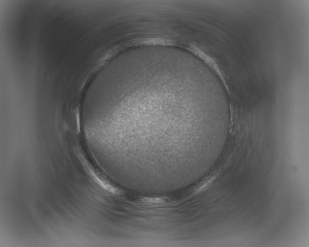 X0000082990061200702160034