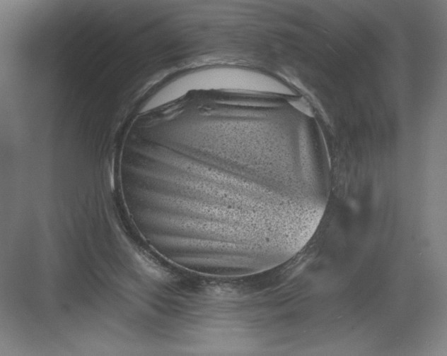 X0000082990062200702160034