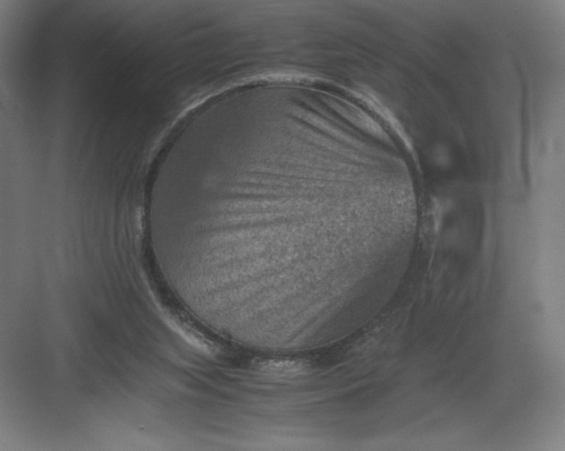 X0000082990063200702160034