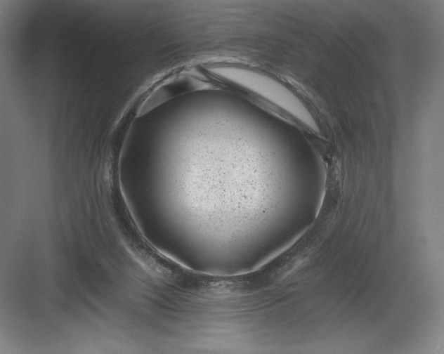 X0000082990064200702160034