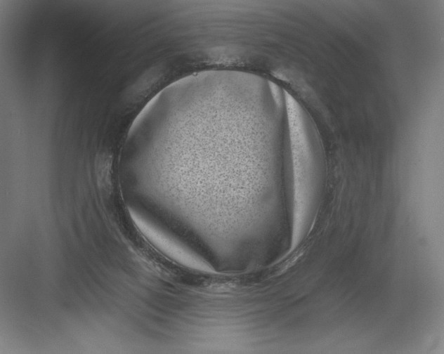 X0000082990066200702160034