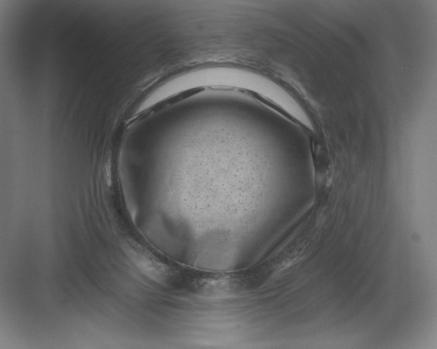 X0000082990068200702160034