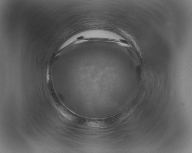 X0000082990069200702160034