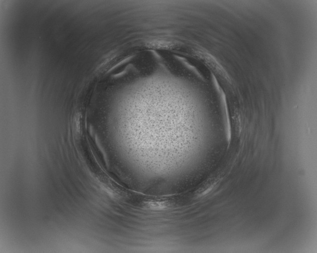 X0000082990071200702160034