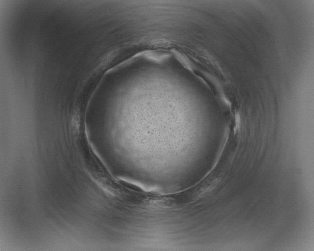 X0000082990072200702160034