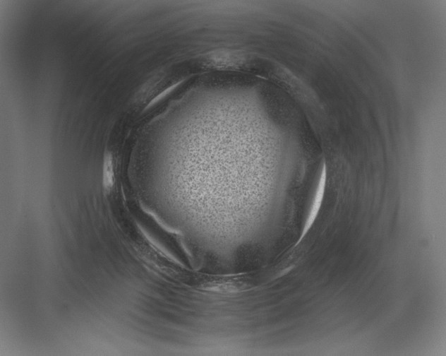 X0000082990075200702160034