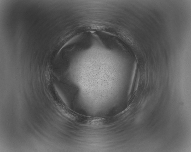 X0000082990078200702160034