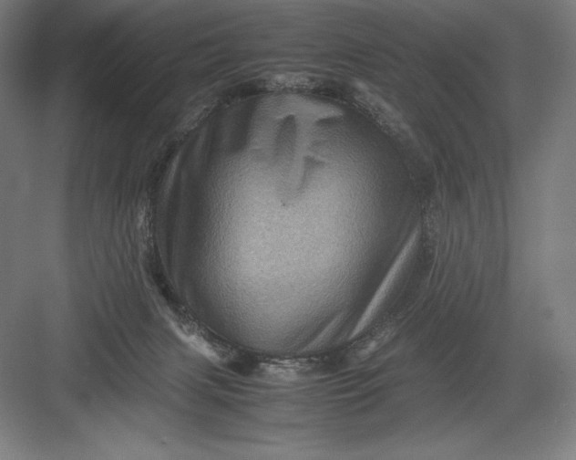 X0000082990079200702160034