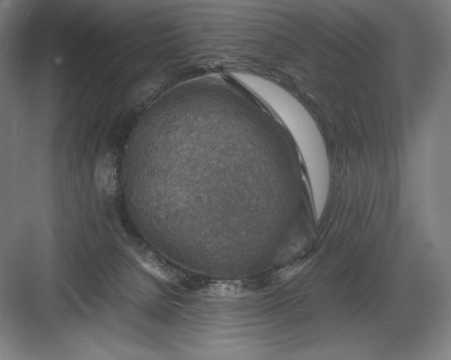 X0000082990080200702160034