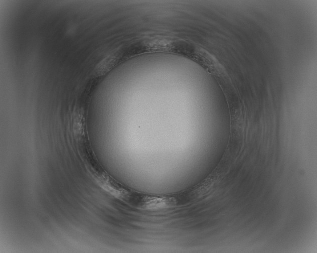 X0000082990083200702160034