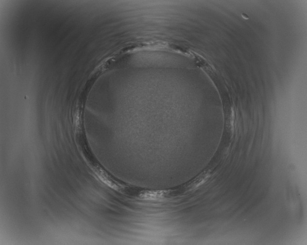 X0000082990084200702160034