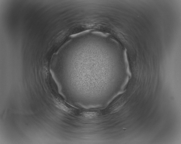 X0000082990085200702160034